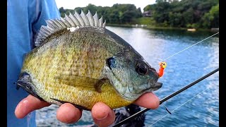 Summer Bluegill Fishing Tips amp Advice [upl. by Nivat441]