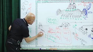 Apoptosis  Programmed Cell Death Definition [upl. by Drugge]