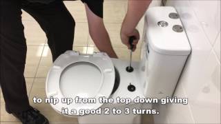 Fitting a Toilet Seat [upl. by Senior]