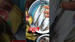 Sassoon Dock Fish Market  seafood fish fishfarming [upl. by Imailiv590]