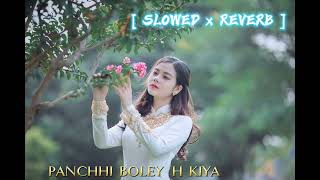 PANCHHI BOLEY H KIYA   SLOWED x REVERB  HINDI LOFI SONG LOFILOVER015 [upl. by Yhtorod]