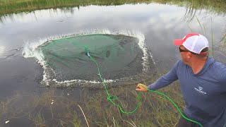 Cast Netting 1000’s of fish How To Castnet [upl. by Tepper694]