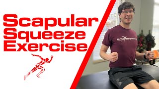 Scapular Squeeze Exercise [upl. by Glen]