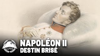 Le destin brisé de lAiglon  La petite Histoire  TVL [upl. by Rori]