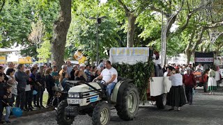 Desfile Tradicional em Vila Verde [upl. by Aivatnuhs]