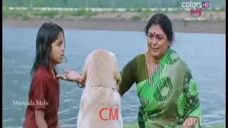 Anbulla Ghilli dog move tamil [upl. by Nahraf]