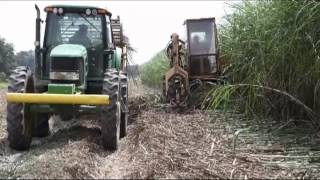 Sugarcane planting in Louisiana [upl. by Okorih]