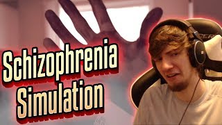 What Is a Schizophrenia Simulation Like [upl. by Iteerp629]