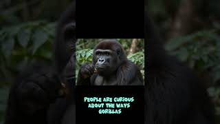 How do gorillas communicate [upl. by Bertha11]