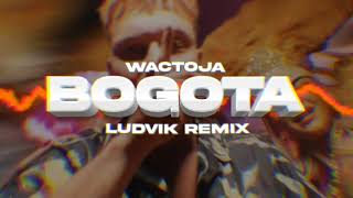 Wac Toja  BOGOTA Ludvik Remix [upl. by Allecnirp]