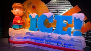 Ice at Gaylord Palms Resort 2023 [upl. by Kelwen472]