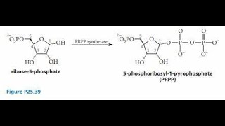 Synthesis of Phosphoribosyl Pyrophosphate PRPP Explanation [upl. by Patt]