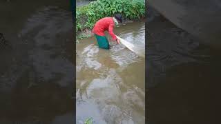 Peran Froto Nibedito Fishing Video shotsfishingvillageboy viralvideo [upl. by Shing471]