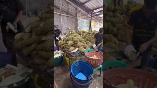 The Fastest Cutting Durian Fruits Cutting Skill [upl. by Niaz]