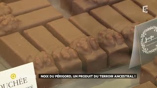 Noix du Périgord un produit du terroir ancestral [upl. by Helfant]