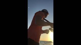 Charleston nearshore reef fishing mid September 2018 [upl. by Yrellav]