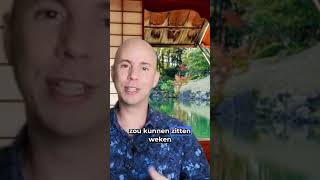 Meditatie Zoals Een Bad Nemen  Koenraad Rau [upl. by Eiclek]