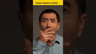 केसे जाने अंपायर के हाथो का संकेत 🤔 Umpire signal in cricket amazingfacts shortsviral cricket [upl. by Atteloj]