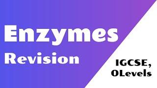 Enzymes Revision  OlevelsIGCSE Biology [upl. by Kieran]