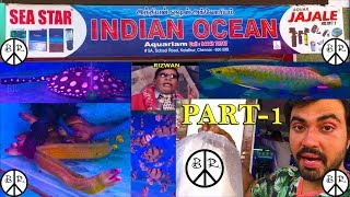 Indian Ocean Aquarium கொளத்தூர் Part 1 kolathur [upl. by Farra979]