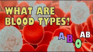 What Are Blood Types ABO Blood Group System  Agglutination Test [upl. by Idden]