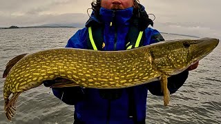 Fishing In Arjeplog  Big Pike Dreams Come True Part 3 [upl. by Wight797]