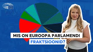 Tutvu Euroopa Parlamendi fraktsioonidega [upl. by Kire]