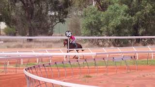 Charleville 20241105 Race 1 [upl. by Liahkim]