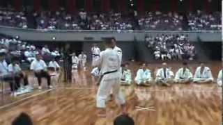 2013 Shorinji Kempo World Taikai in Osaka Japan [upl. by Latsyc984]