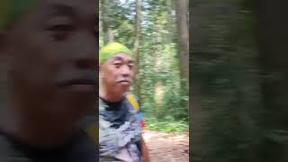 kabili trail  sepilok laut reception centre shortvideo hiking hikingadventures [upl. by Olympia]