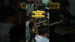 Los Niños de la MIXTECA tocando GABINO Barrera musicadeoaxaca banda musicadeguerreroyoaxaca vira [upl. by Amrak]