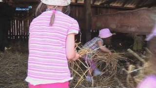 Les toutpetits et les petits à la ferme Alsace [upl. by Fortin]