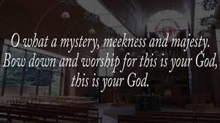 Hymn  Meekness and majesty  Choir and Organ [upl. by Mullins748]