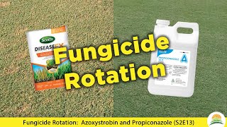 Fungicide Rotation Azoxystrobin and Propiconazole ☀️ S2E13 [upl. by Darton]