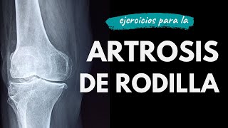 6 Ejercicios para aliviar el dolor en la artrosis de rodilla [upl. by Salas132]