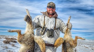 Fresh Snow  Great Coyote Calling  Wyoming Coyote Hunting [upl. by Tolley]