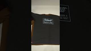 Recycle and Good Over Size Carhartt TShirts C102251705 10 pcs 12 lbs Wholesale at Tiedemann Globe [upl. by Demetra270]