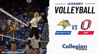 LIVE Jackrabbit Volleyball v Omaha [upl. by Ecnarual]