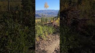 Beautiful Fall Morning Trail Run Steamboat Springs [upl. by Richella]