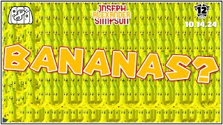 Banana Cup Shenanigans  MarioKart Conquest 12 [upl. by Heyward]