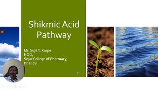 Shikimic acid Pathway [upl. by Delogu697]