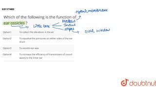 Which of the following is the function of ear ossicles [upl. by Ardnas]