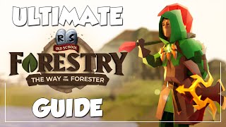 Woodcutting Changed FOREVER In OSRS  Ultimate Forestry Guide New Update [upl. by Modie]