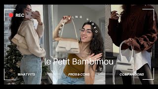 Jacquemus Le Petit Bambimou Unboxing  First Impressions  Is it worth buying [upl. by Sivle]