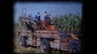 1950s Louisiana Sugarcane Loader [upl. by Cari]