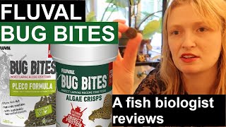 Fluval Bug Bites Plecoalgae A fish biologists reviews aquarium fish food Fluval [upl. by Anivlis]