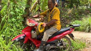 Sambal Petai Tempoyak  Guna Khidmat Beruk Panjat Pokok Petai [upl. by Amoihc]