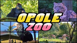 ZOO Opole  Poland 4k [upl. by Larret141]