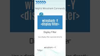 Wireshark Commands Display Filter [upl. by Flint]