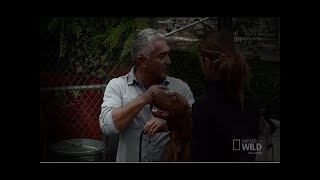 Cesar 911 Season 4 Episode 9 Rocky Road [upl. by Yddor]